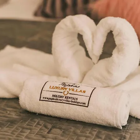 Luxurioese Mit Privatem Pool Und Whirlpool Tatil Evi